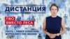 Как в Москве вырубают заповедные леса под военные нужды?